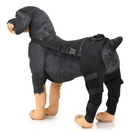 Ajustável Pet Dog Bandagens, Lesões, Perna, Joelho, Brace Strap, Recuperação Manga, Suprimentos Médicos, Cães Acessórios - Image 3