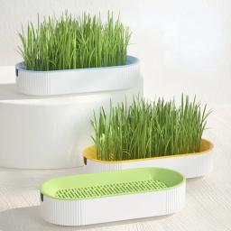Hidropônico Soilless Plantando Pot Set para Fácil Crescimento, Grass Box, Cat Treats, Catnip - Image 1