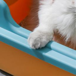 Caixa de areia de grande capacidade para gatos, sandbox anti-respingos, bandeja do gatinho, bacia do banho de limpeza do WC, suprimentos de toalete - Image 5