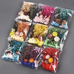 Flores Secas Resina UV Adesivos, Resina Epóxi Enchimento, DIY Fazer Jóias Artesanato, Material de Arte, Festa, Decoração Da Casa, 1 Saco - Image 3