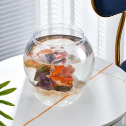 Vidro de alta transparência para peixes, aquário pequeno, peixes ornamentais e répteis, boa vista - Image 3