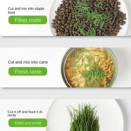 Copo De Cultivo De Grama De Gato Com Cultivo Soiless Recipiente De Crescimento De Catnip Reutilizável Bandeja De Germinação De Sementes, Hi-Fi Design - Image 5