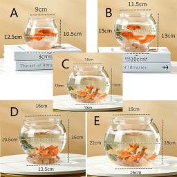 Vidro de alta transparência para peixes, aquário pequeno, peixes ornamentais e répteis, boa vista - Image 6