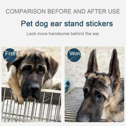 Conjunto de 2 peças para apoio orelha do cão adesivos, orelha correção suprimentos, orelha cuidados ferramentas, conveniente e eficaz - Image 6