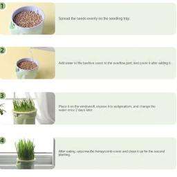 Copo De Cultivo De Grama De Gato Com Cultivo Soiless Recipiente De Crescimento De Catnip Reutilizável Bandeja De Germinação De Sementes, Hi-Fi Design - Image 4