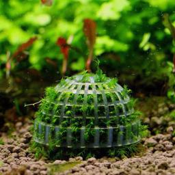Aquário plástico musgo bola filtro aquático suprimentos para animais de estimação decorações para camarões tanque de peixes produtos para animais de estimação decoração do tanque de peixes - Image 4