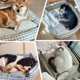 Sofá interior cama para dormir para cães e gatos, Puppy House, canil para cães pequenos e médios, móveis, acessórios para animais - Image 3