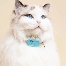 Impermeável Pet GPS Localizador Bluetooth, Anti-Lost Collar, Dog Cat Rastreador de posicionamento inteligente, Leve Tracking Supply, Novo - Image 3