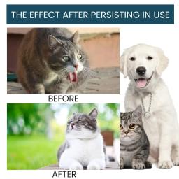 YEGBONG-Pet Imunidade Gotas Orais, Nutrição Suplementar, Gotas Saúde para Cães e Gatos - Image 4